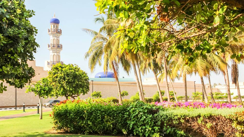 Visite à pied gratuite de Salalah – Terre de l’encens, palais historique et capitale du Dhofar