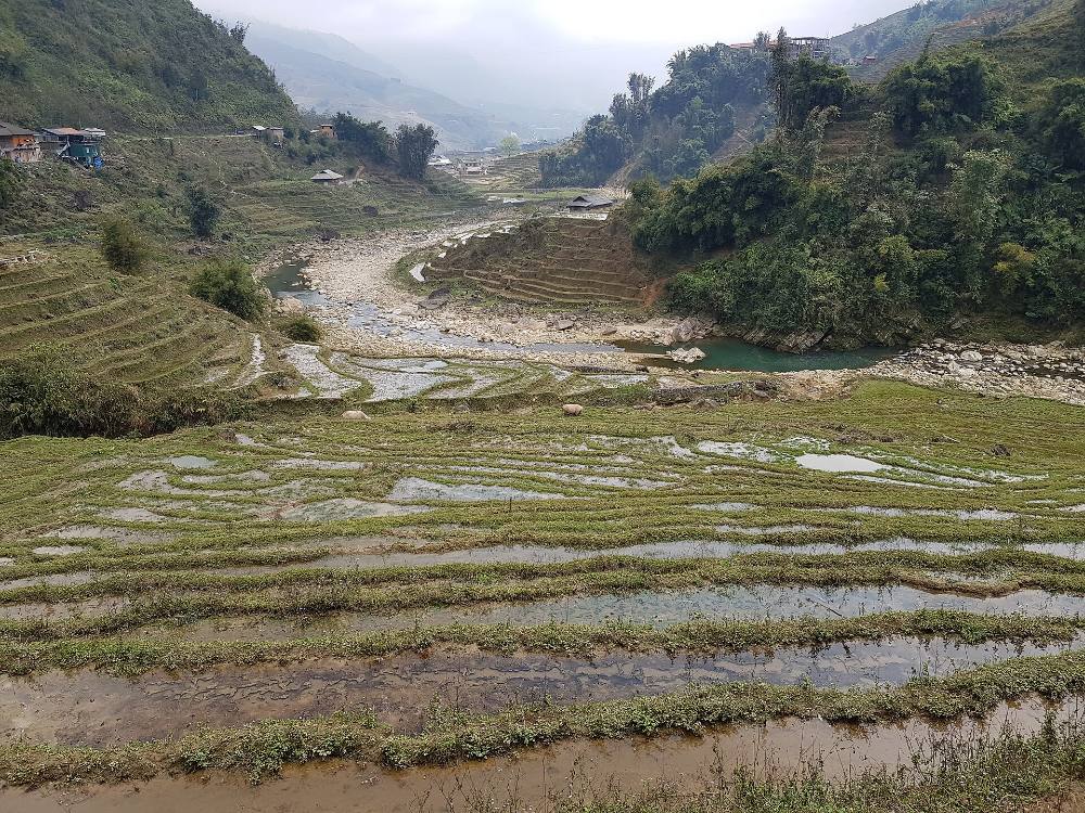 Visite à pied gratuite de Sa Pa – ville de montagne, rizières en terrasses et cultures ethniques des collines