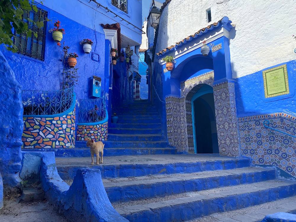 جولة مشي مجانية في شفشاون – المدينة الزرقاء، جبال الريف وسحر المدينة العتيقة
