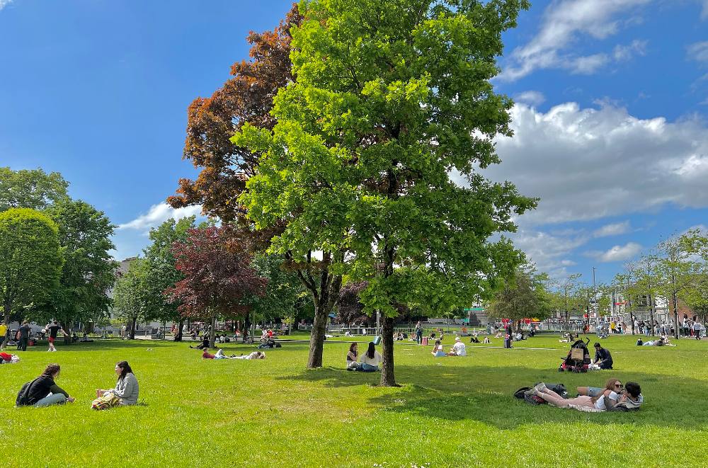 Galway Free Walking Tour – Quartiere Latino, Arco Spagnolo e il cuore culturale dell'Irlanda