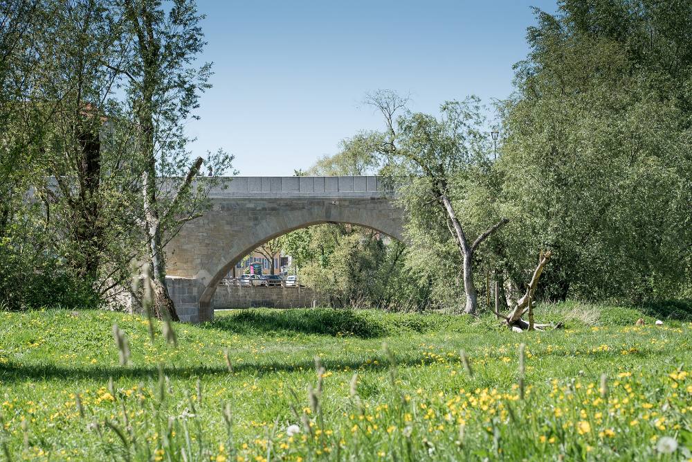 Regensburg Free Walking Tour – Mittelalterliche Altstadt, Steinerne Brücke & die Donau