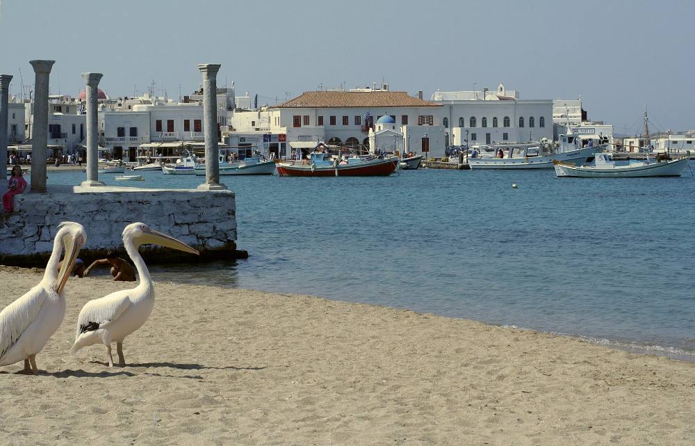 Mykonos Street Art & Alternative Free Walking Tour – Murals, Creative Quarters & Modern Culture