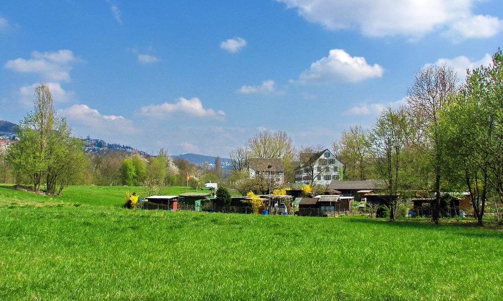 Légendes de Zurich & visite guidée pédestre gratuite en soirée – Histoires mythiques, mystères & ruelles scintillantes