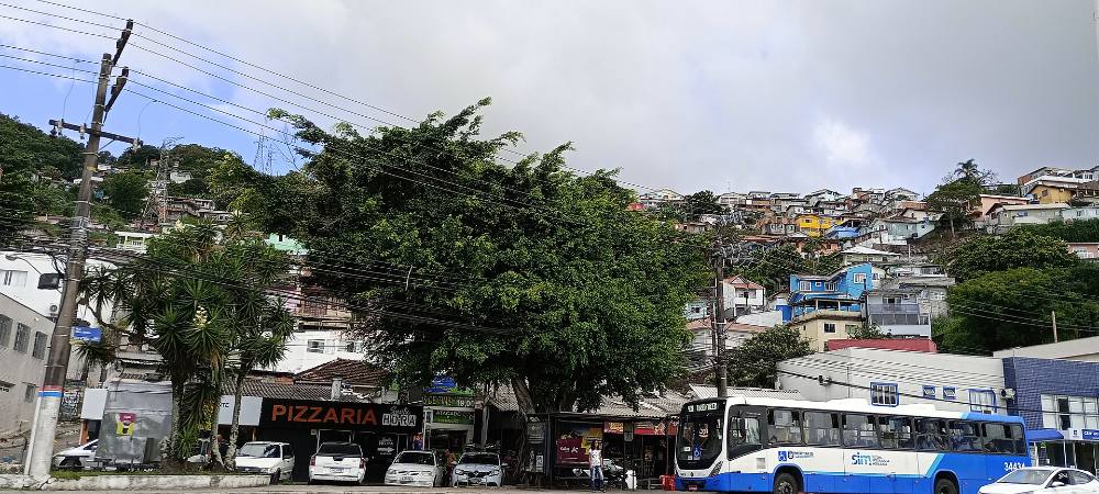 Tour a pie gratuito para descubrir las joyas ocultas y la vida local de Florianópolis: rincones secretos e historias del barrio