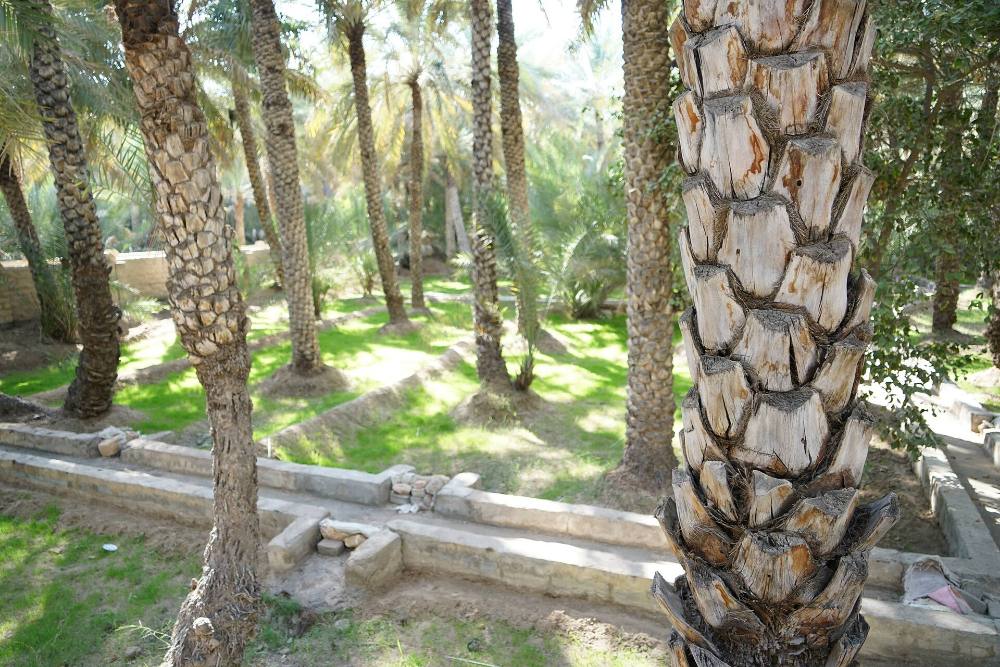 Kostenlose Walking-Tour: Streetart & einzigartige Viertel in Al Ain entdecken – Wandmalereien, Kreativviertel & moderne Kultur
