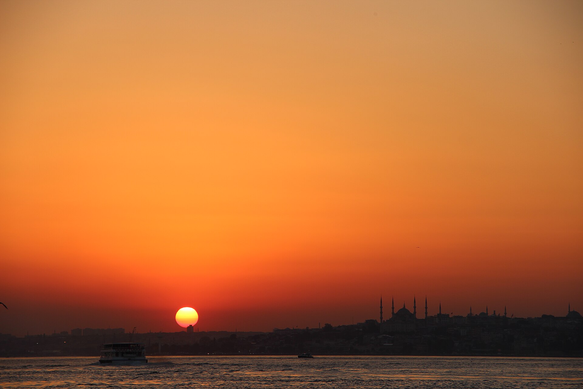 Tour ẩm thực buổi tối ở Kadikoy, Istanbul: Meze Anatolia, Meyhane & Chợ cá