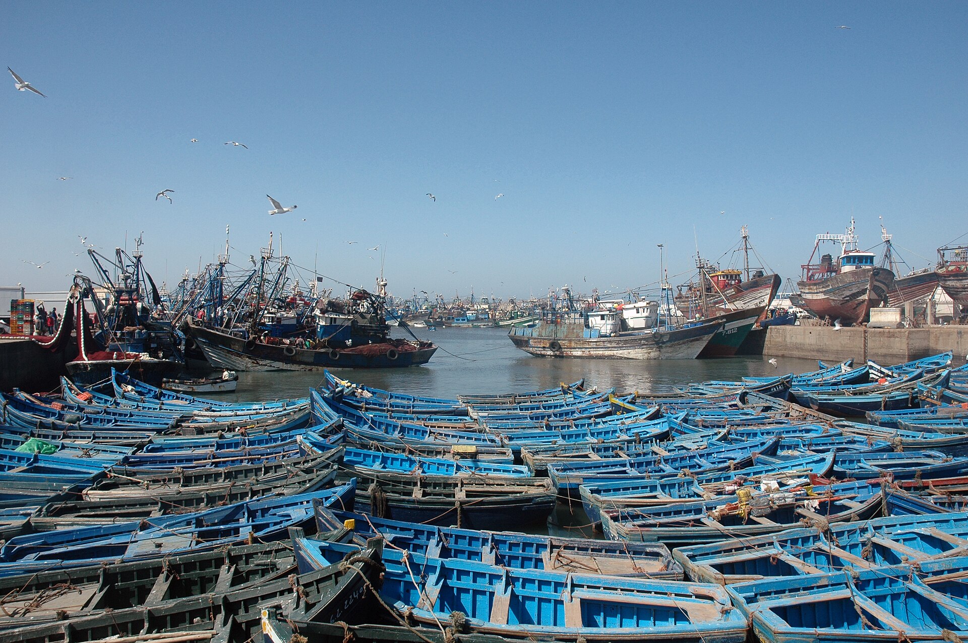 Tour ẩm thực Essaouira: đấu giá cá, argan và chợ gia vị Medina