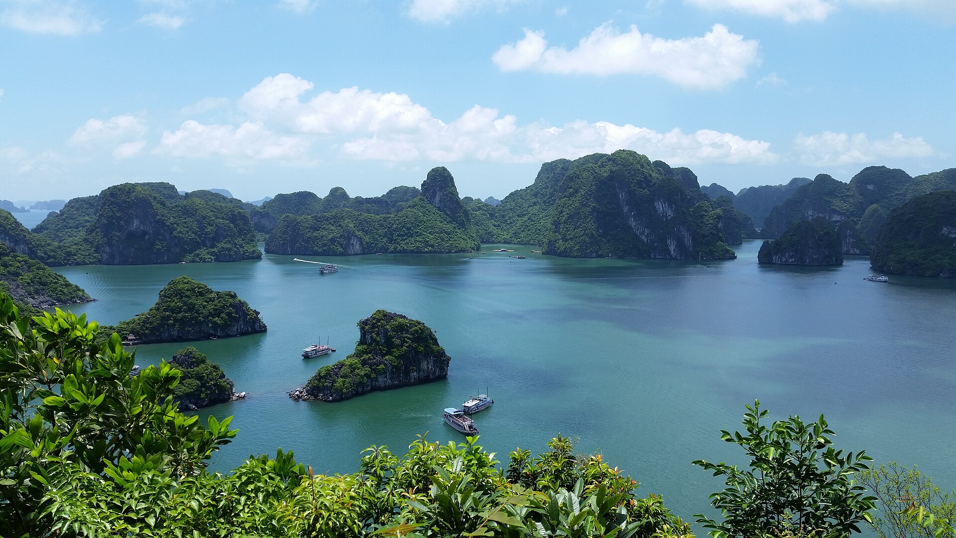 Tour Khám Phá Thành Phố Hạ Long Trên Bờ: Bảo Tàng Quảng Ninh, Chùa Long Tiên, Chợ Hạ Long & Cầu Bãi Cháy