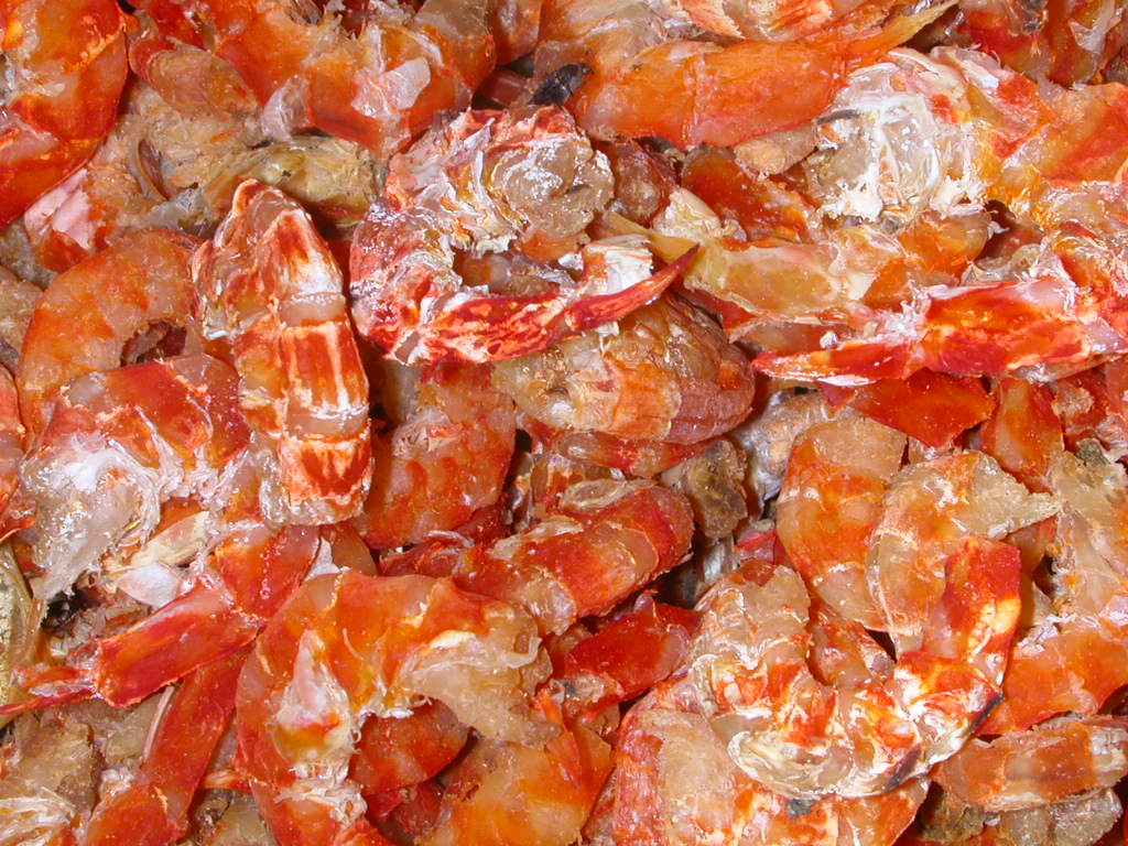 Tản bộ chụp ảnh bình minh ở Hà Nội: Cầu Long Biên, chợ hoa quả đêm & sông Hồng lúc rạng đông