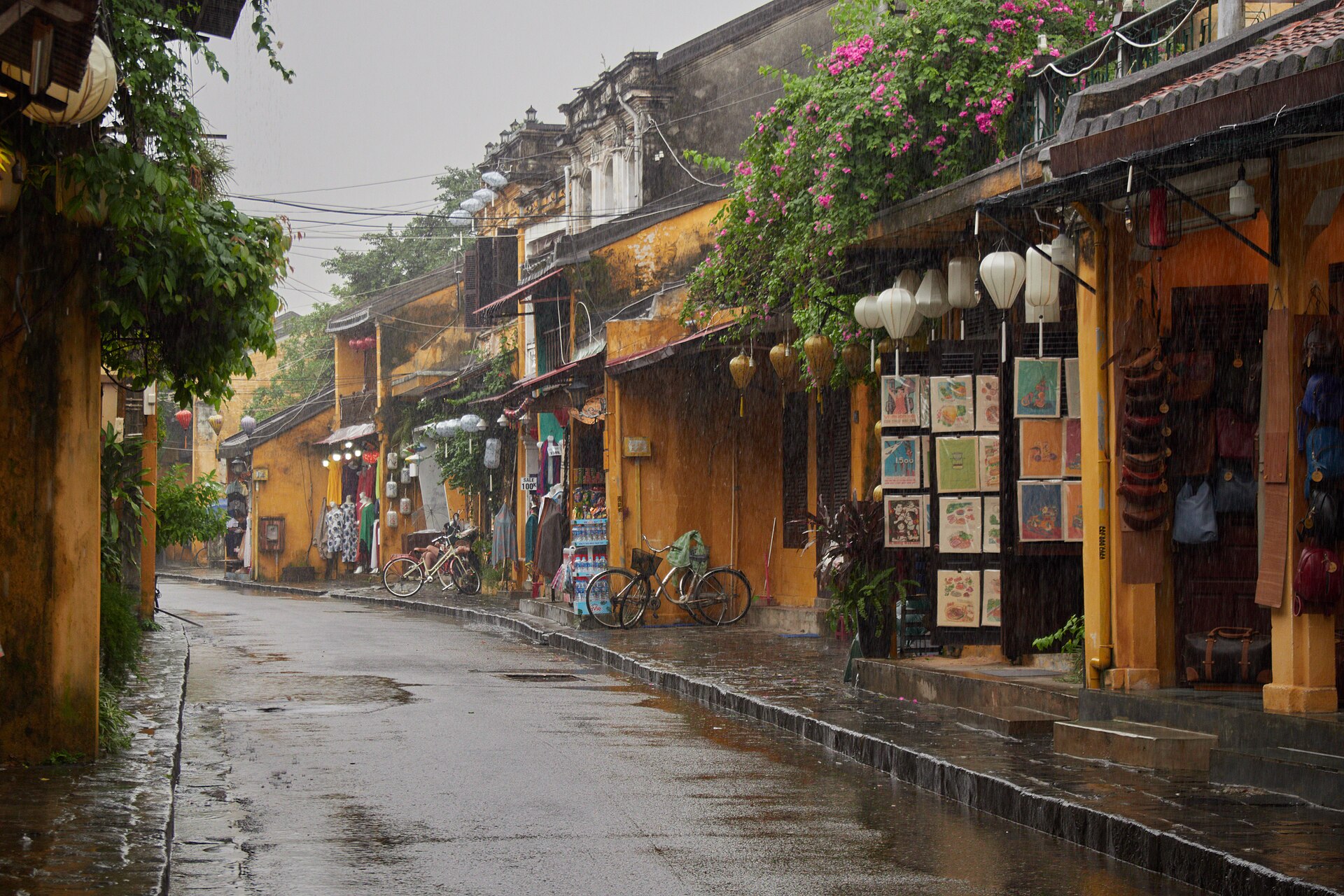 Tour xe đạp & phà địa phương Hội An: Đảo Kim Bồng, làng gốm Thanh Hà & sông Thu Bồn