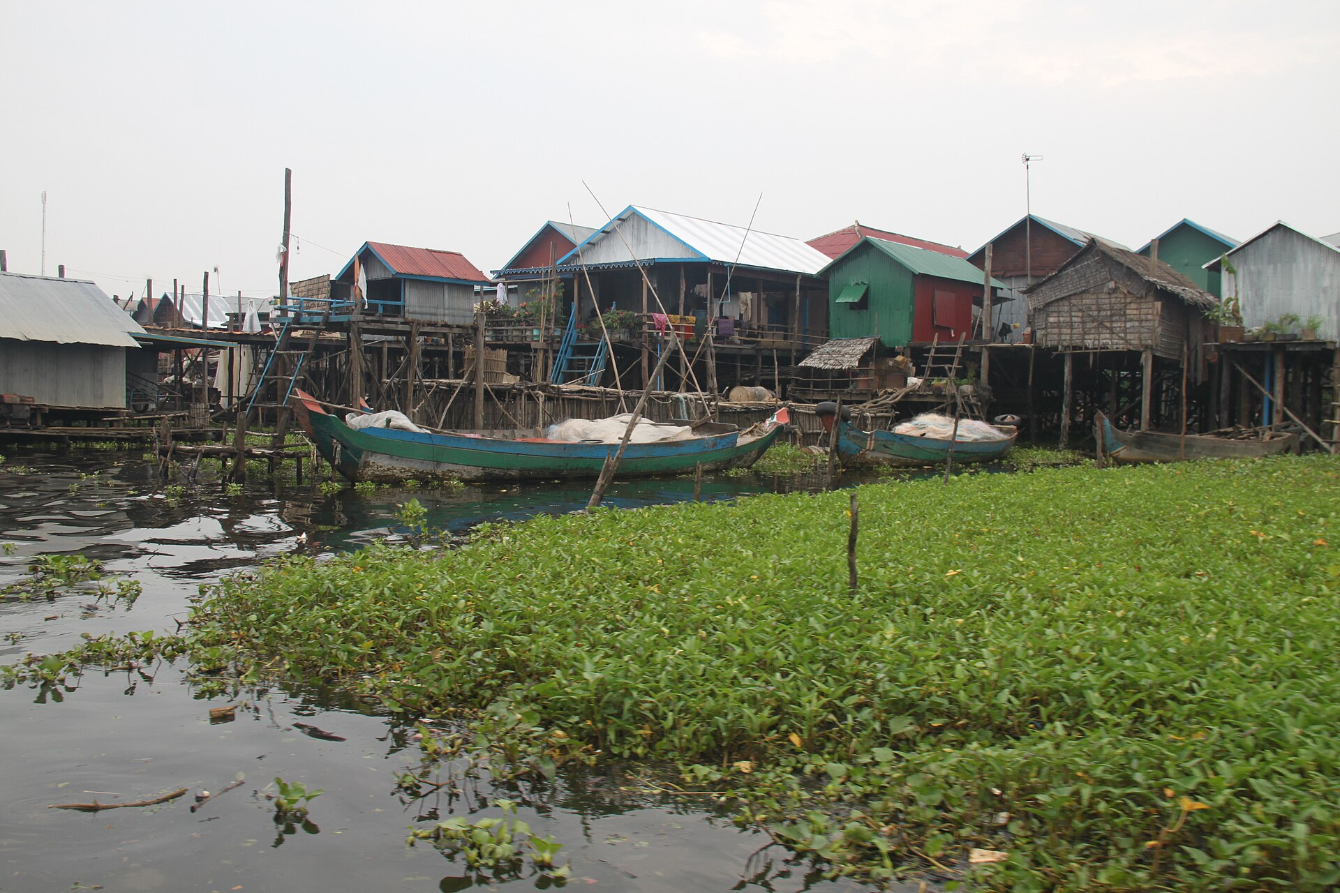 Tour Hoàng Hôn Biển Hồ Tonle Sap Nửa Ngày: Làng Nhà Sàn Kompong Phluk & Rừng Ngập Nước