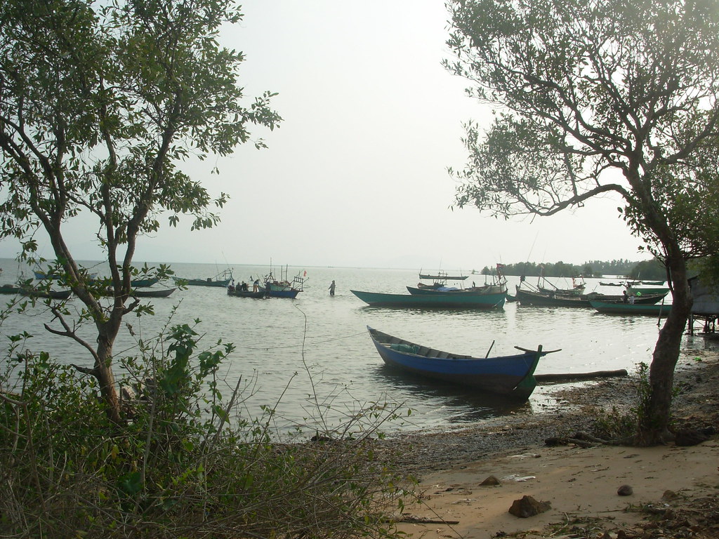 Tour Chèo Kayak Sông Kampot Nửa Ngày: Rừng Ngập Mặn 'Green Cathedral' & Làng Chài Hồi Giáo