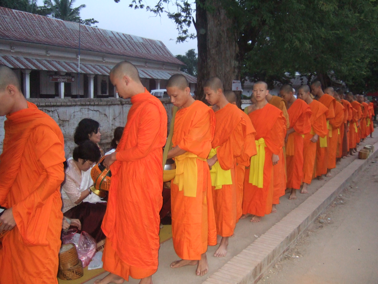Tour Khất Thực Bình Minh Luang Prabang Nửa Ngày: Lễ Tak Bat, Chợ Sáng & Làng Giấy Ban Xang Khong
