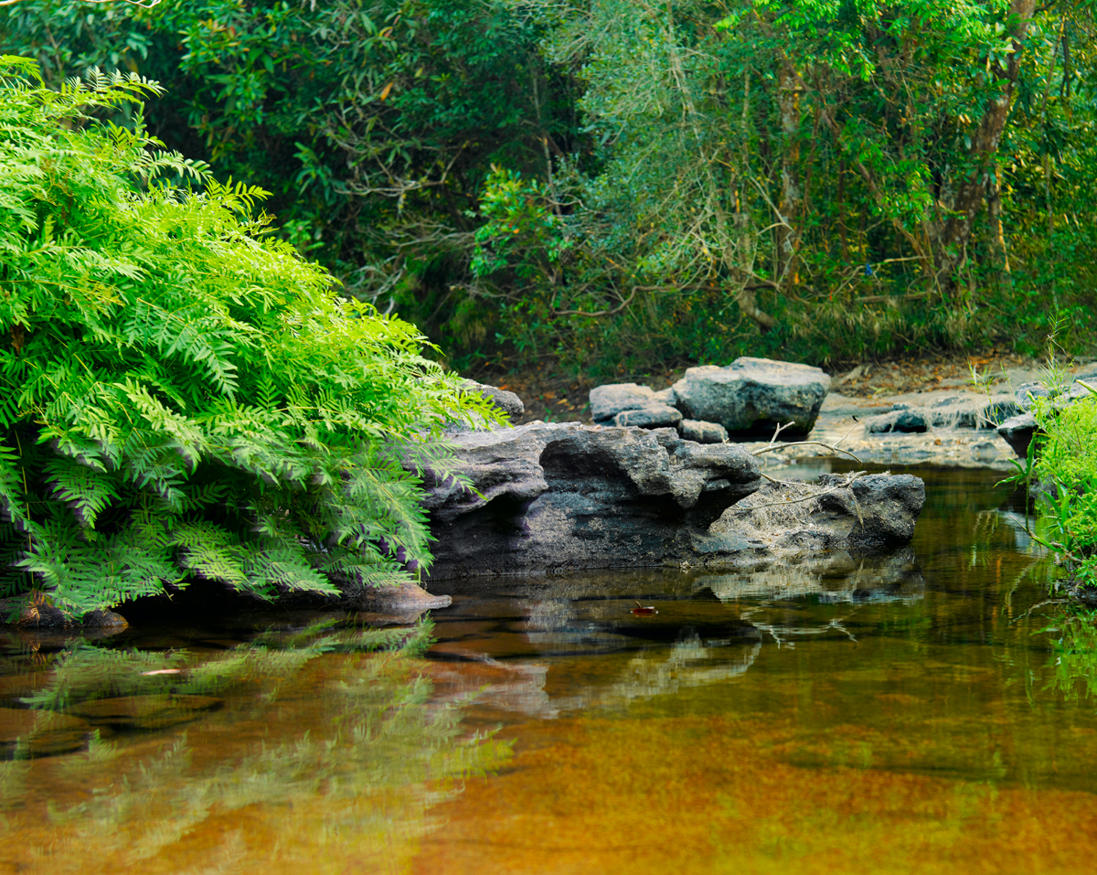Tour Vườn Quốc Gia Phou Khao Khouay 1 Ngày Từ Vientiane: Thác Tad Xay, Tad Pha Xay & Trekking Rừng