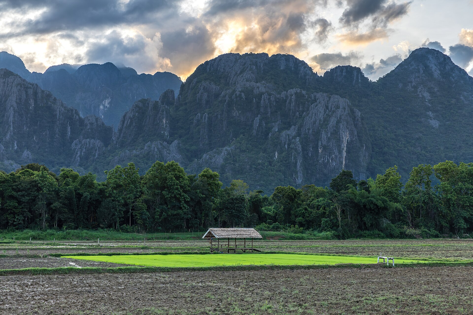 Tour Leo Núi Đá & Zipline Vang Vieng 1 Ngày: Leo Vách Đá Vôi Cùng Huấn Luyện Viên, Đu Dây Qua Rừng