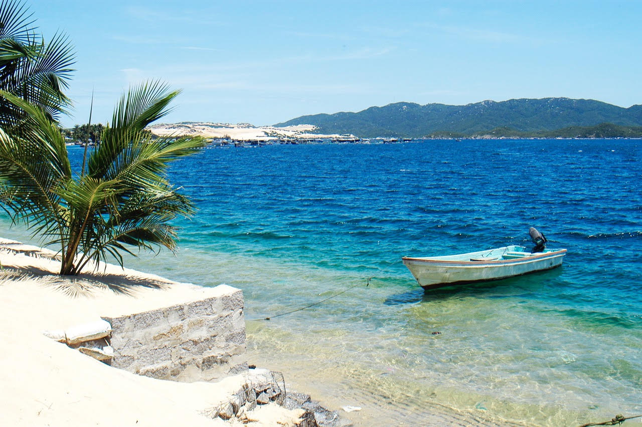 Chợ Đầm Quy Nhơn – Chợ đầu mối hải sản lớn của phố biển