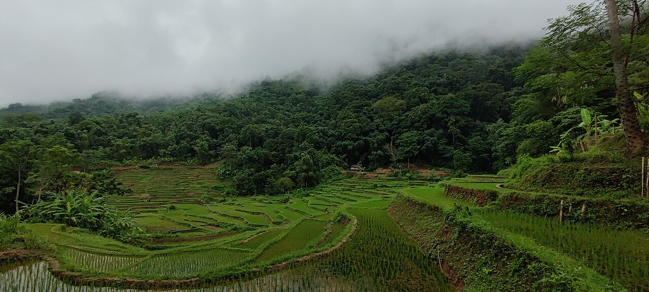 Tour xe đạp 4 ngày Mai Châu – Pù Luông – Cúc Phương – Tam Cốc: Bản Thái trắng, ruộng bậc thang và núi đá Ninh Bình