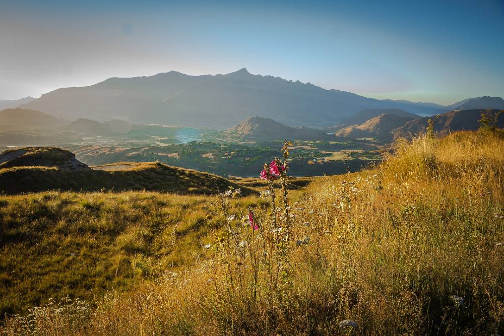 Lawatan Berjalan Kaki Percuma Waktu Malam & Meneroka Legenda Queenstown – Mitos, Misteri & Lorong-Lorong Berlampu