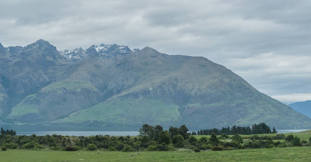 Lawatan berjalan kaki percuma: Permata tersembunyi & kehidupan tempatan Queenstown – Sudut rahsia & kisah kejiranan