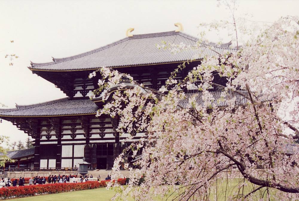 Kostenloser Rundgang durch Nara: Kulinarische Entdeckungen & lokale Märkte – Aromen, traditionelle Märkte & Esskultur