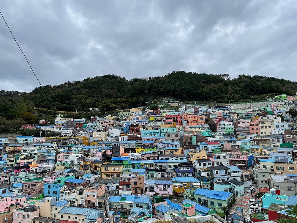 Tour a piedi gratuito alla scoperta della cucina e dei mercati locali di Busan – Sapori, mercati tradizionali e cultura gastronomica