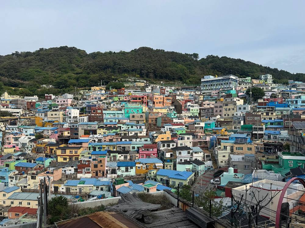 Tour a piedi gratuito alla scoperta dell’arte di strada e del lato alternativo di Busan – murales, quartieri creativi e cultura contemporanea