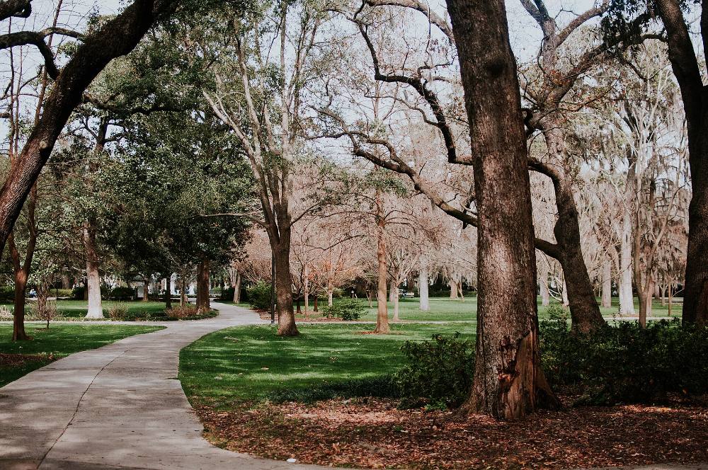 Leyendas de Savannah y tour nocturno a pie gratuito – mitos, misterios y callejones iluminados