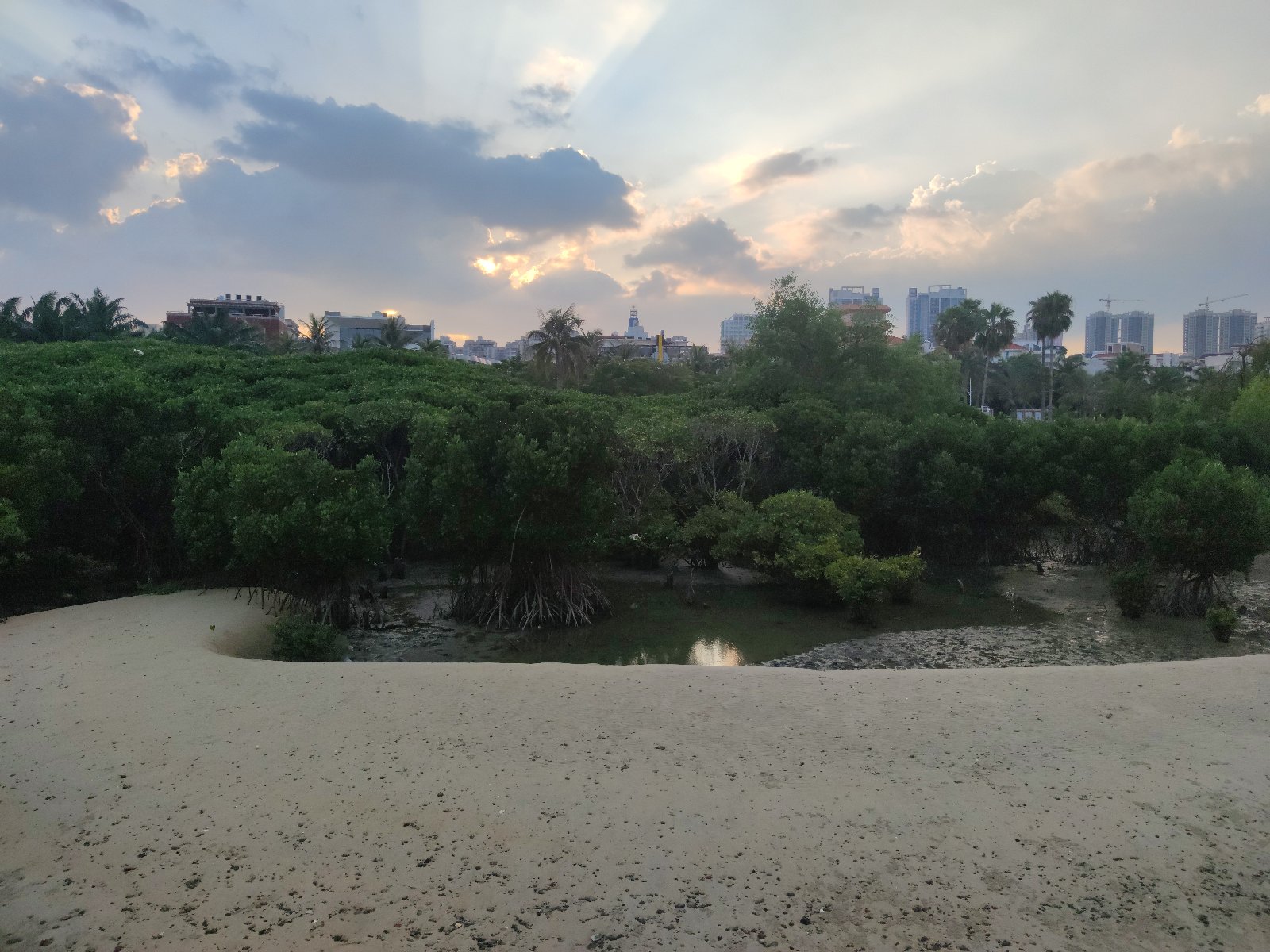 Lawatan meneroka kawasan Ramsar hutan paya bakau Cần Giờ