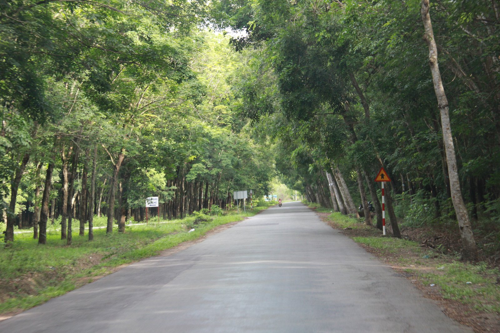 Tour Jeep chinh phục địa đạo Củ Chi