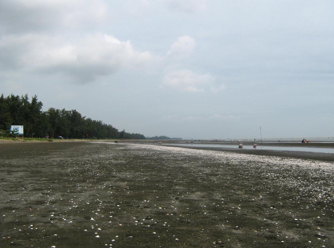 Tour đảo Thạnh An Cần Giờ trong ngày