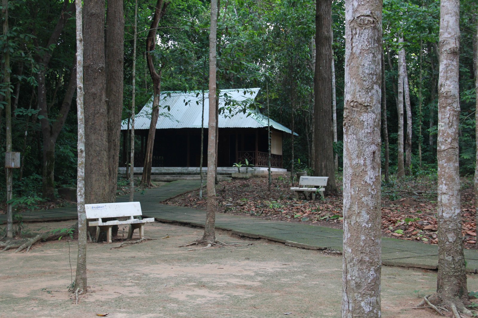 Excursão de dia inteiro aos Túneis de Củ Chi