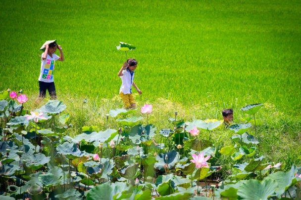 Dong Thap 1-Day Tour Departing from Ho Chi Minh City: Tram Chim Tam Nong – Nguyen Sinh Sac Relic Site