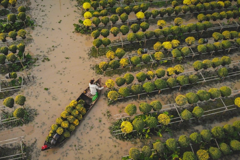 Can Tho – An Giang – Dong Thap 2D1N Tour: Tra Su Melaleuca Forest – Sa Dec Flower Village