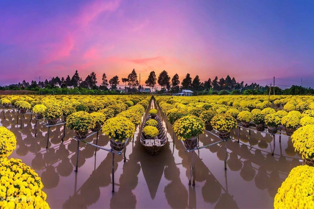 Tour Đồng Tháp de 1 día: Descubre el Pueblo de Flores Sa Đéc
