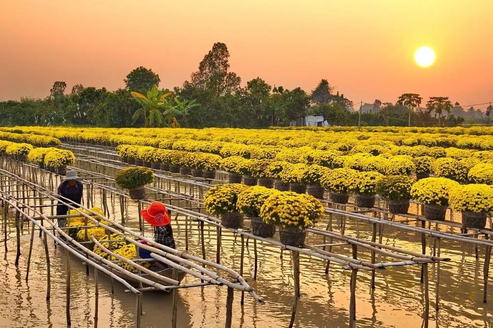 Circuit touristique de Đồng Tháp depuis Hô-Chi-Minh-Ville en une journée : Village des fleurs Sa Đéc – Kumquat rouge Lai Vung
