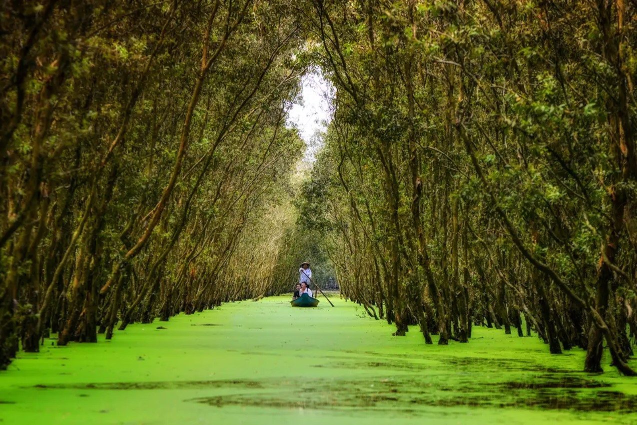 Tour Đồng Tháp: Tràm Chim – Area Turistica Ecologica Gáo Giồng 2 Giorni 1 Notte