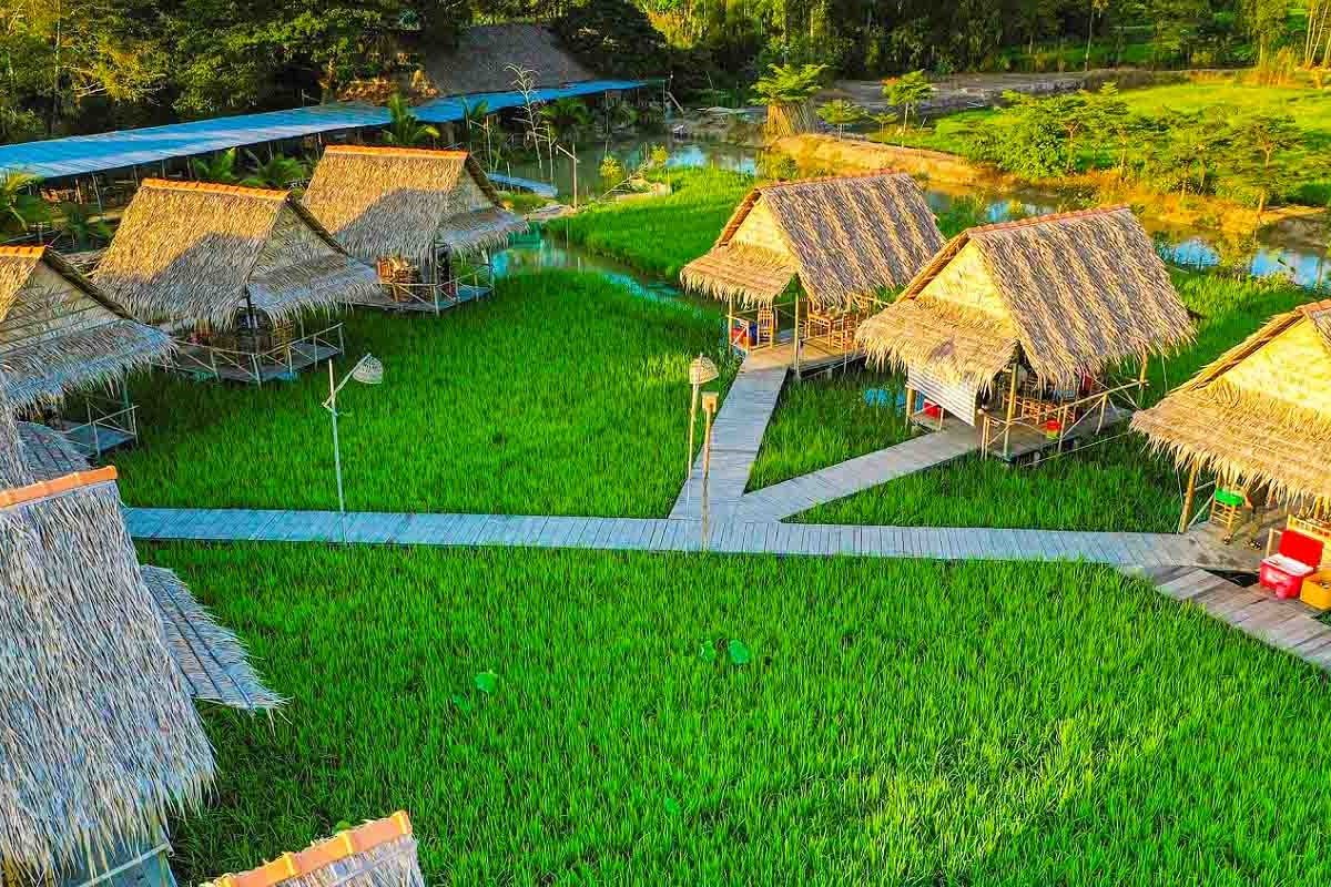 Tour Đồng Tháp – KDL Mỹ Phước Thành 2N1Đ: Tìm Về Miền Ký Ức