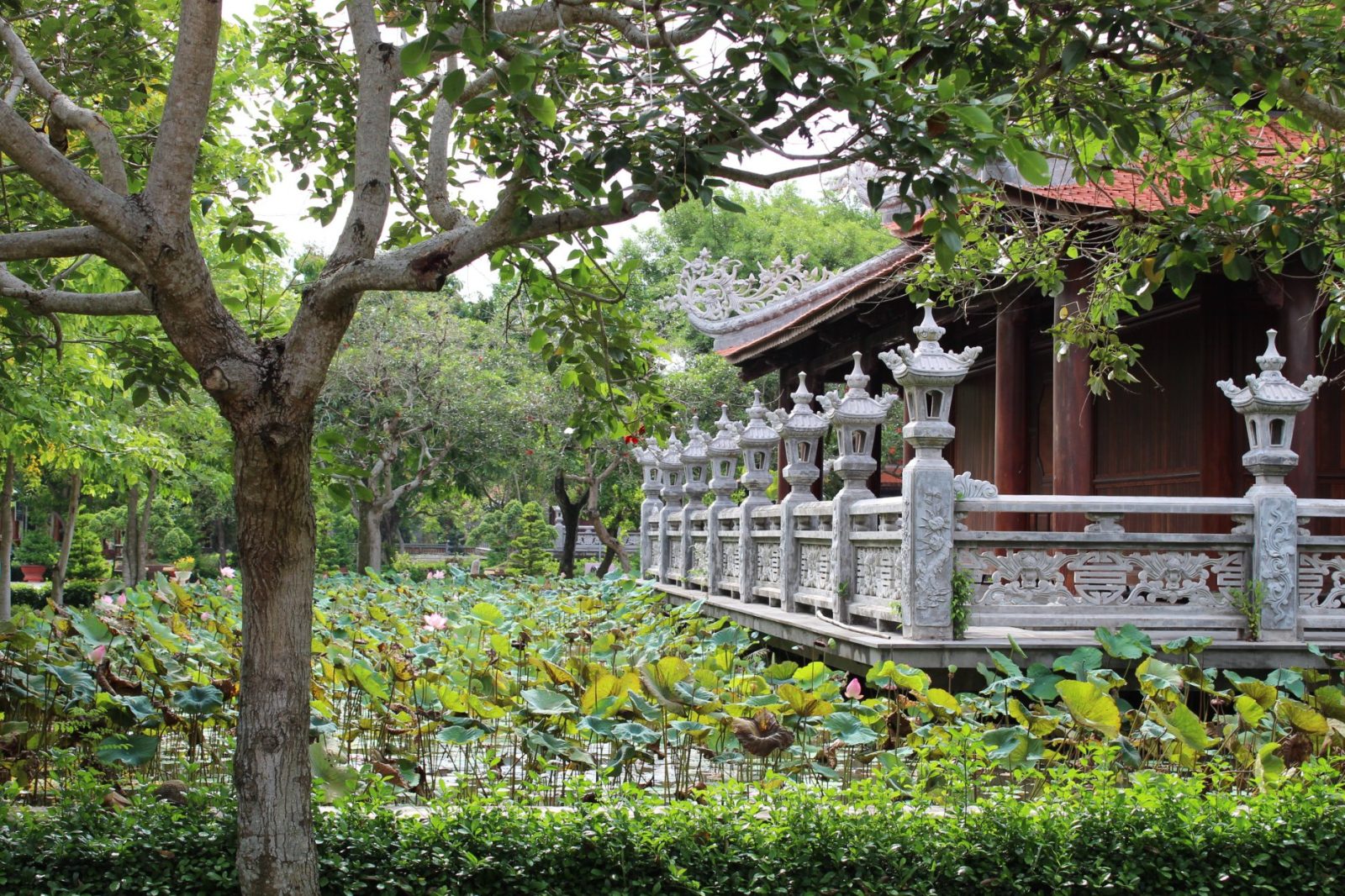 Excursion d'un jour à Dong Thap : Zone touristique de Phuong Nam – La quiétude de la terre du Sud