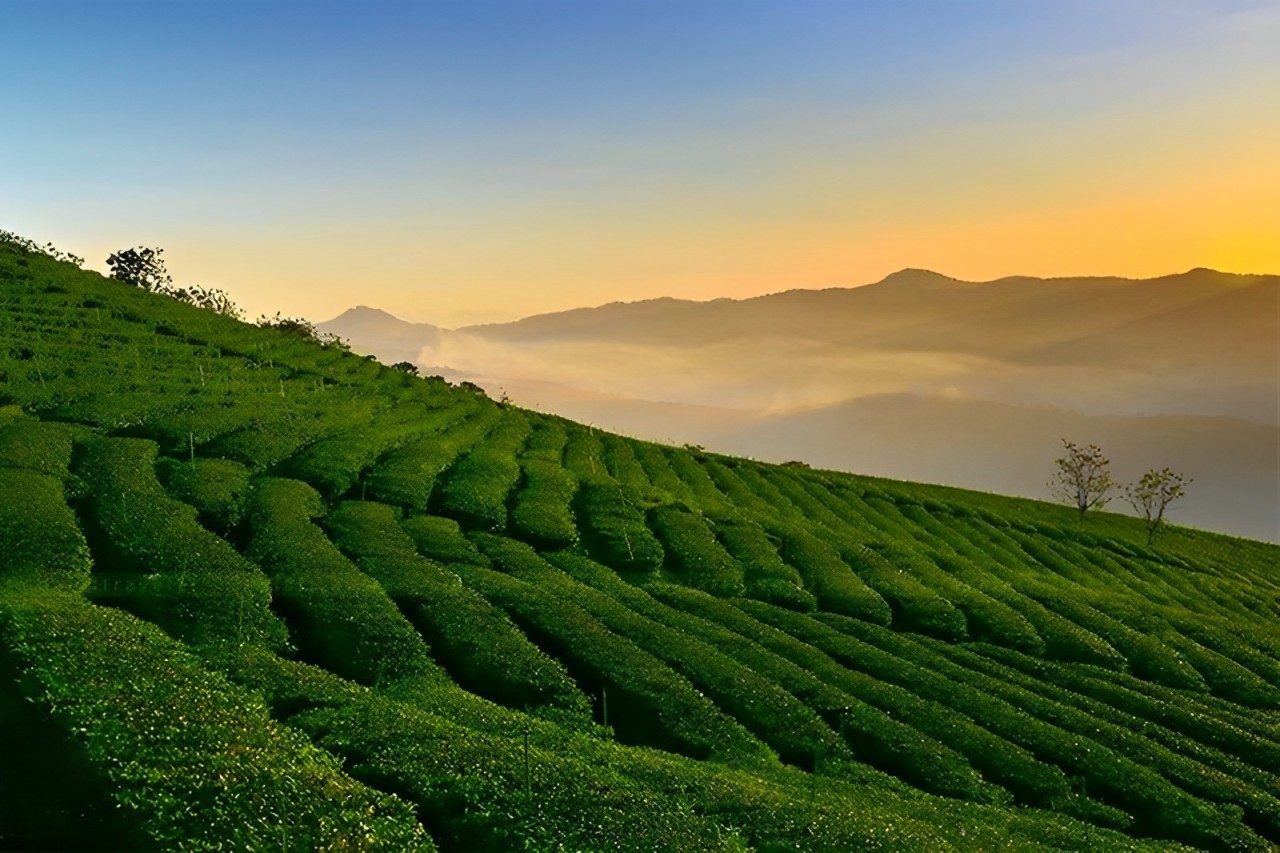 Tour Mũi Né – Đà Lạt 5 Giorni 4 Notti: Dune di Sabbia & Altopiano Verde