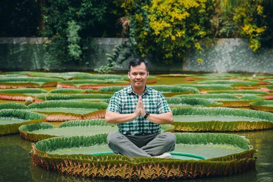 Circuit d'une journée à Đồng Tháp : Visite de la pagode des feuilles de lotus, admiration du « roi » des lotus géants