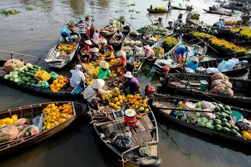 Tour 2N1Đ : Đồng Tháp – Gáo Giồng – Mercato galleggiante di Cái Răng – Complesso turistico Vàng Xám