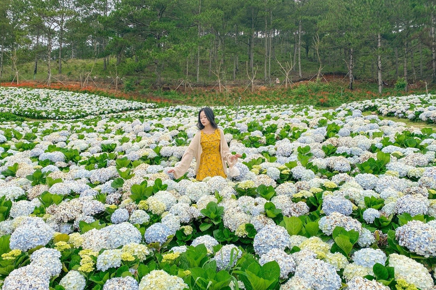 Nha Trang & Da Lat Excursion Tour: 4 Exciting Days 3 Nights