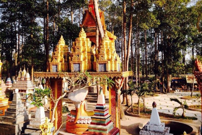 Tour Hồ Chí Minh – Sóc Trăng 2N1Đ: Hành Trình Về Xứ Chùa Tháp