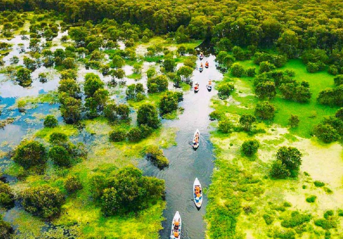Chau Doc Tra Su Melaleuca-Wald Tour