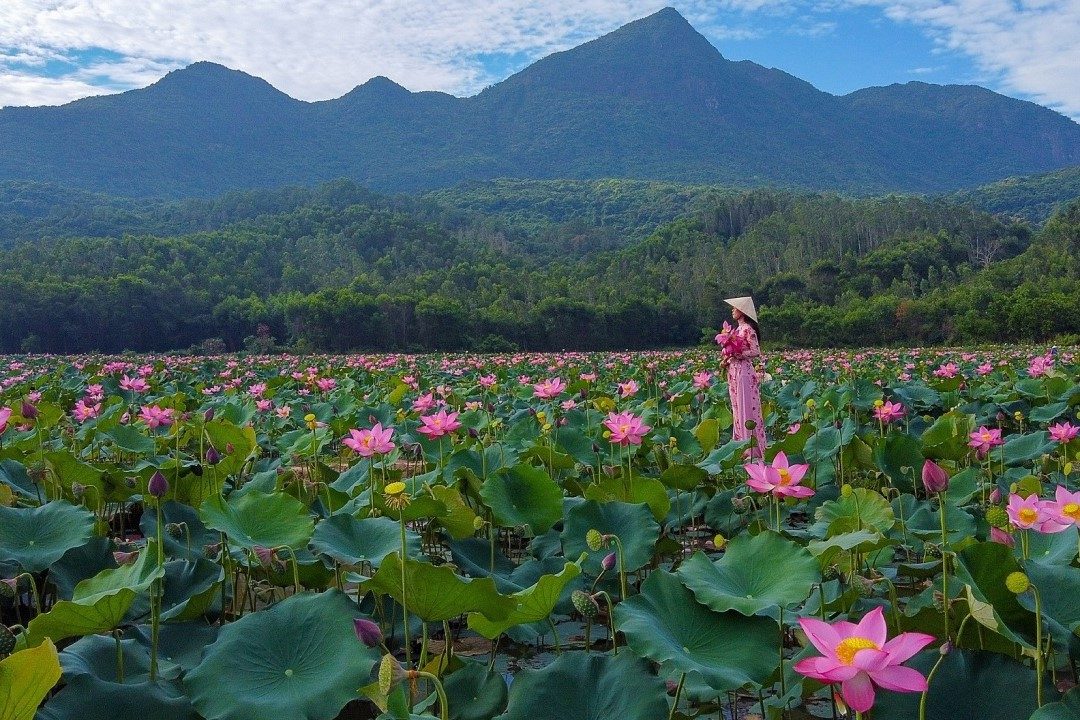 Tour Quảng Nam – Cổng Trời Đông Giang: 2 Hari 1 Malam Menjelajah Keajaiban