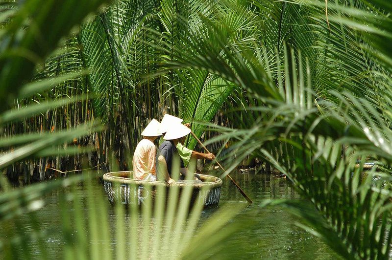 Tour Rừng Dừa Bảy Mẫu – Trải Nghiệm Quảng Nam Đầy Sức Sống