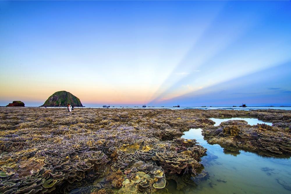 Tour Hòn Yến 1 Ngày: Khám Phá Rạn San Hô Rực Rỡ Tại Phú Yên