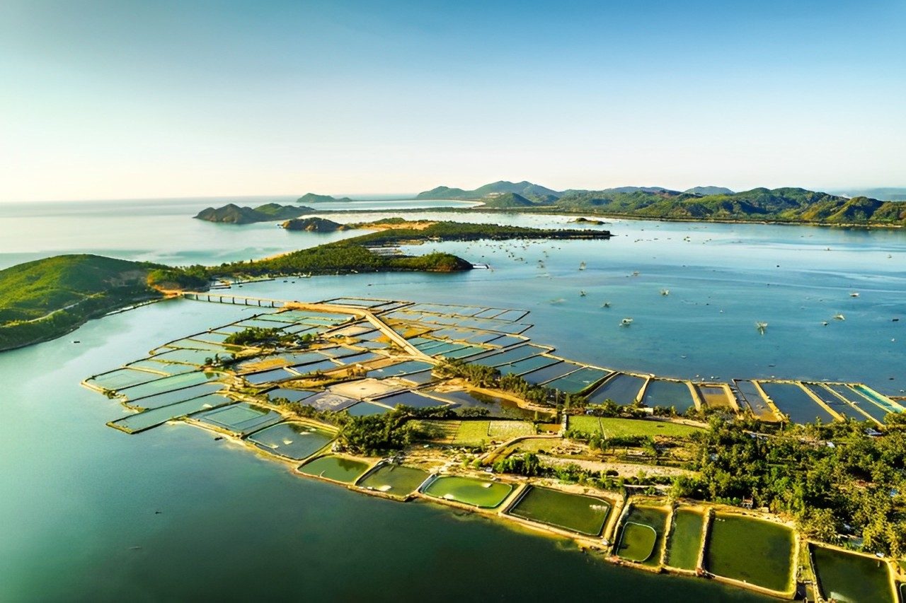 富安4晚3昼旅游：迪亚岩 – 塞普海滩 – 电岬 – 仁安山