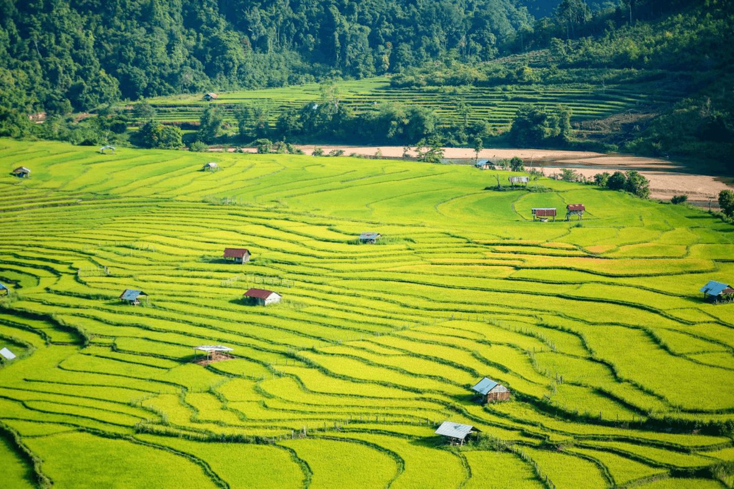 Tour Măng Đen 3 Ngày 2 Đêm: Thiên Nhiên Hoang Sơ và Hùng Vĩ