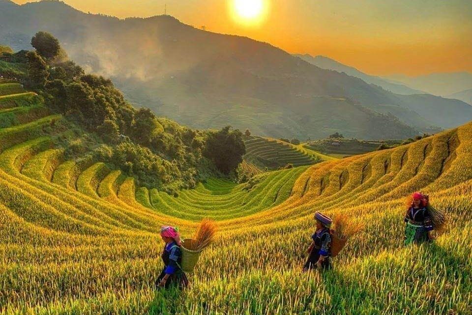 Bình Liêu – Tiên Yên – Quảng Ninh 3D2N Tour: Discovering Untouched Beauty